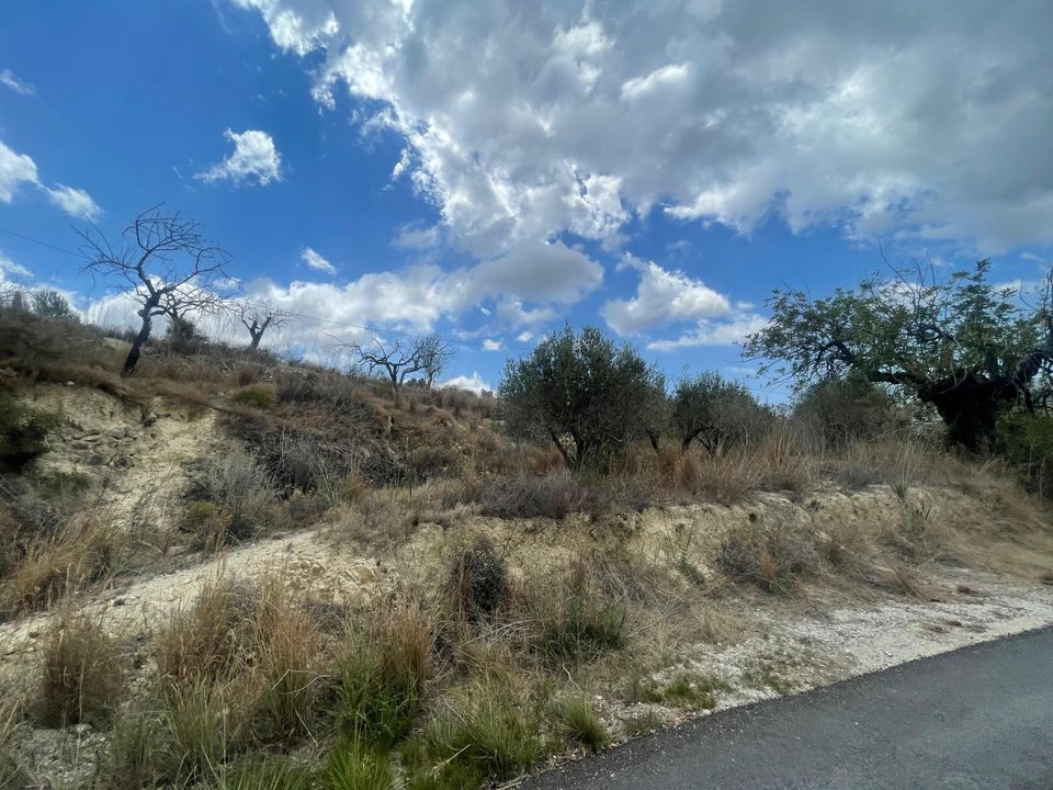 Helårsgrund i Benissa, Alicante - foto 5