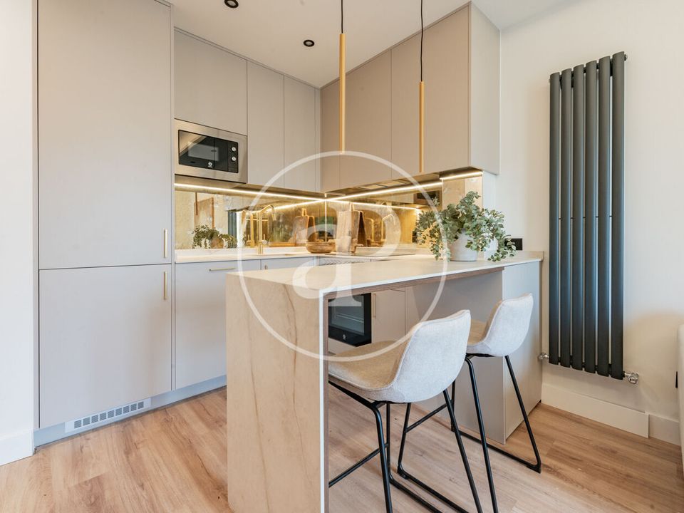 Penthouse i Madrid, Madrid - bilde 4