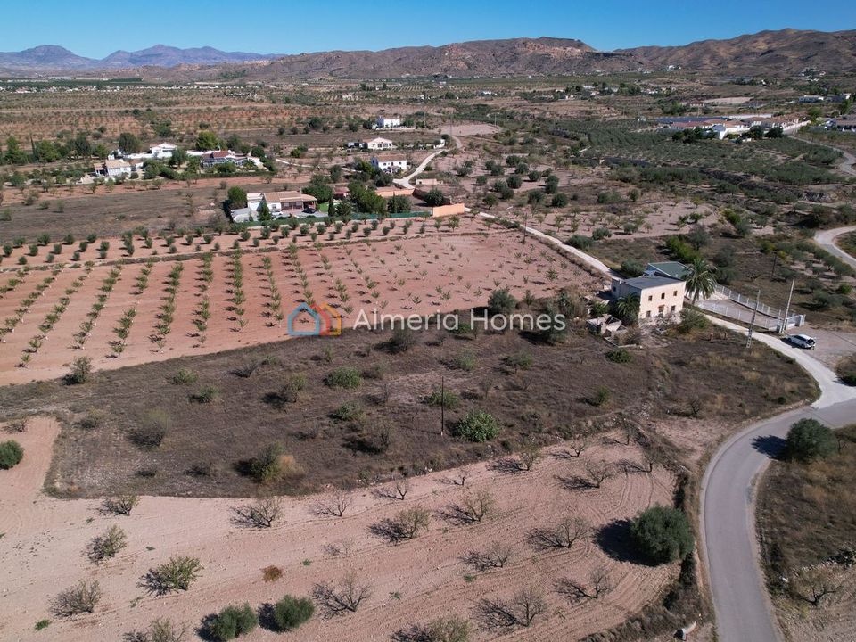 Landejendom i Albox, Almeria - foto 4