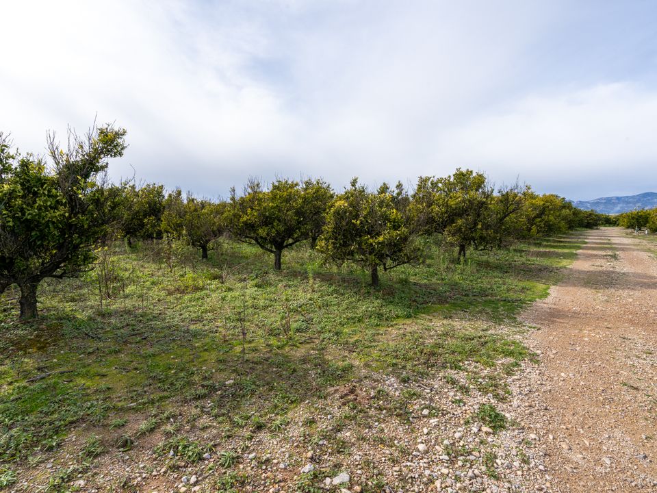 Finca i Santa Barbara, Tarragona - foto 3