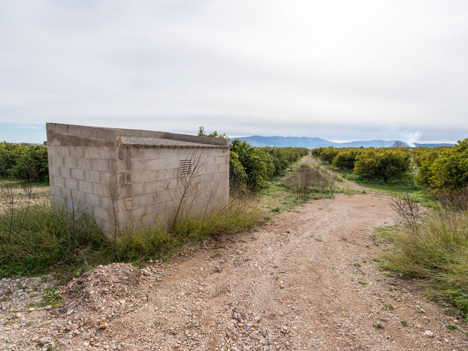 Finca i Santa Barbara, Tarragona - foto 4