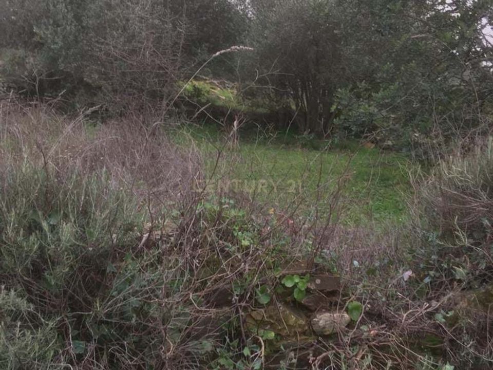 Helårsgrund i Almodovar, Beja - foto 3