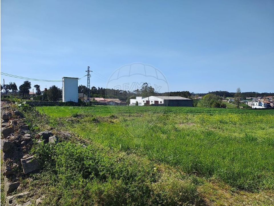 Terra a Vila do Conde, Porto - foto 3