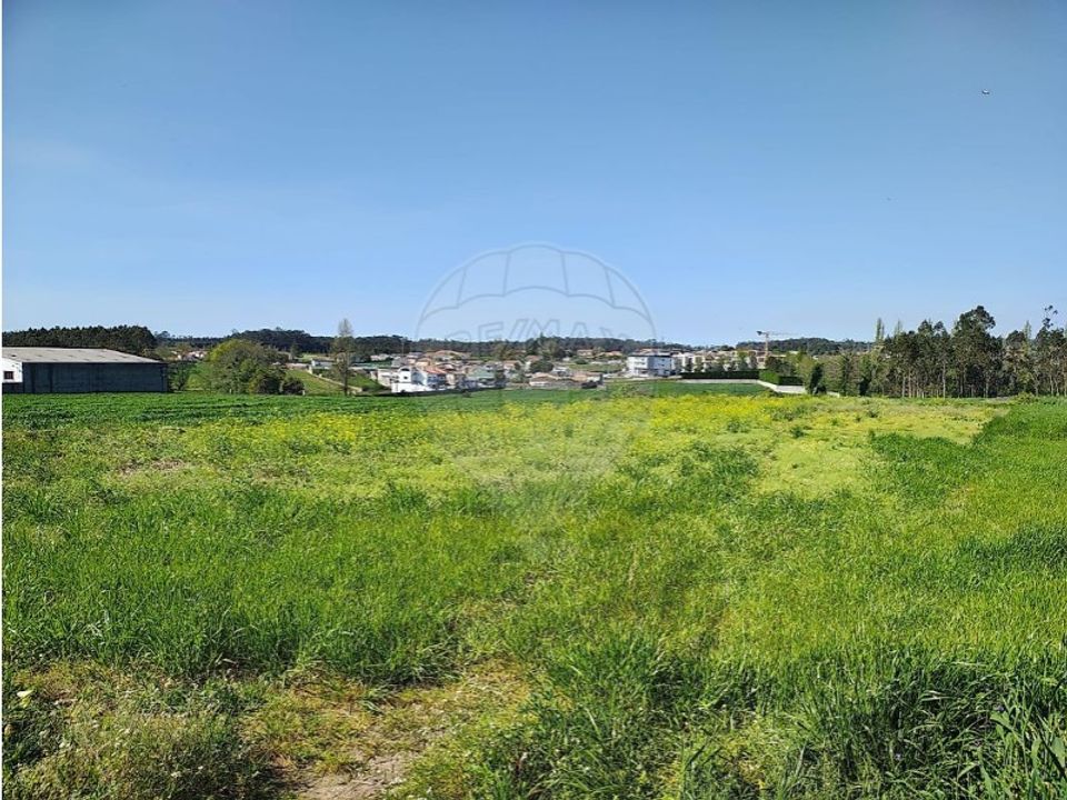 Terra a Vila do Conde, Porto - foto 4