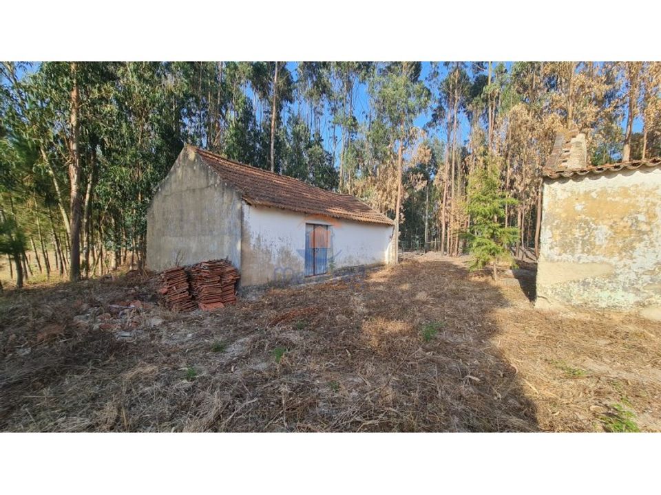 Villa i Torres Vedras, Lisbon - foto 2