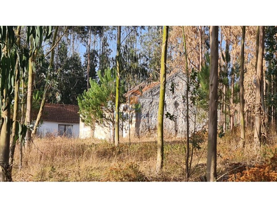 Villa i Torres Vedras, Lisbon - foto 3