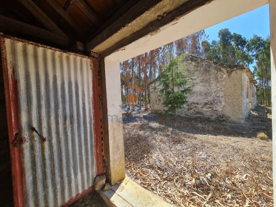 Villa i Torres Vedras, Lisbon - foto 5