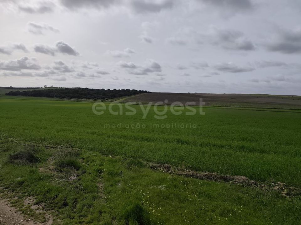 Helårsgrund i Aljustrel, Beja - foto 3