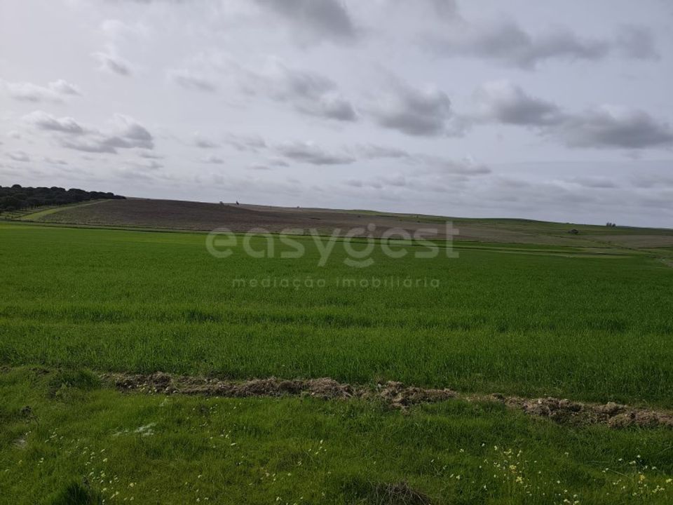 Helårsgrund i Aljustrel, Beja - foto 5