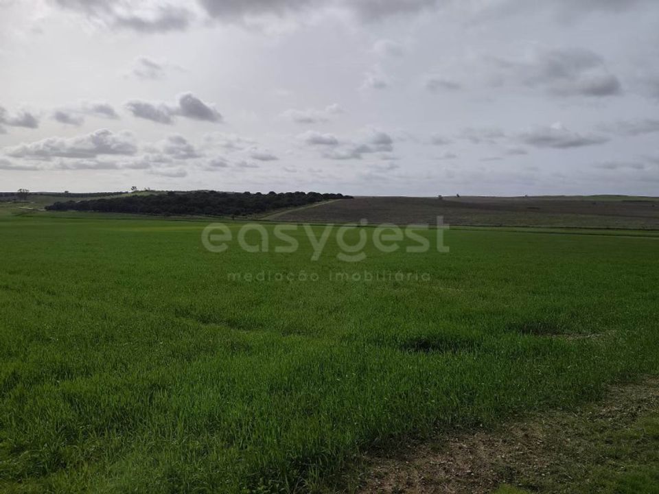 Helårsgrund i Aljustrel, Beja - foto 4