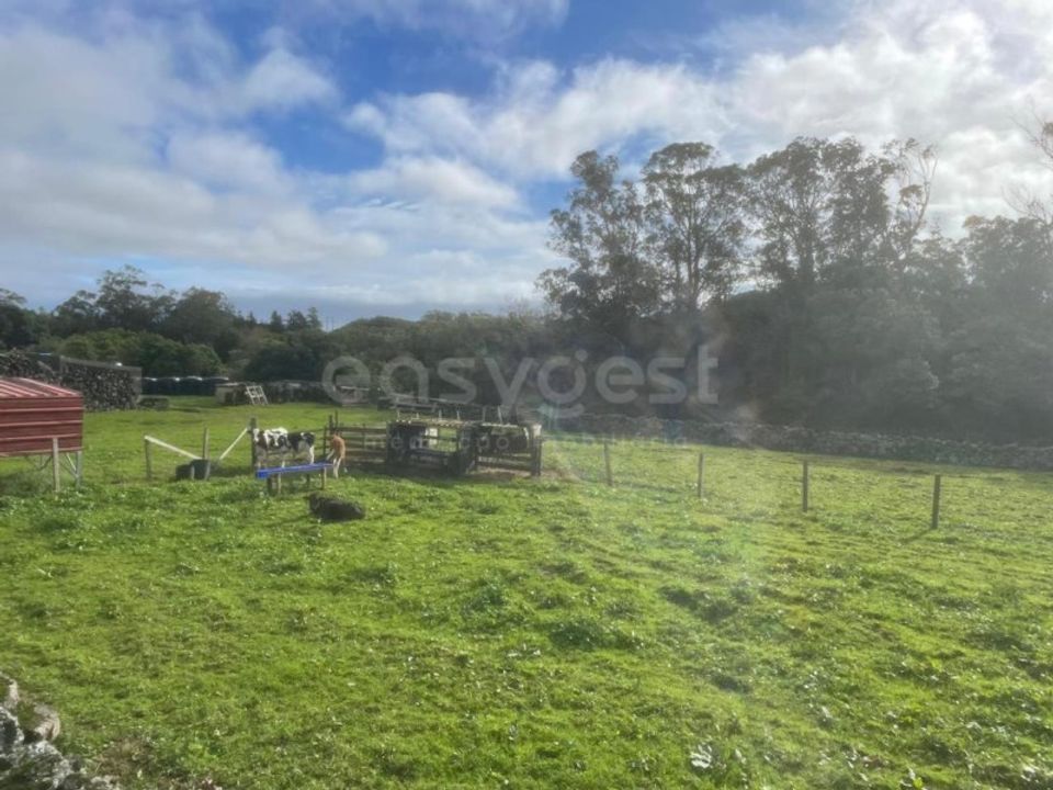 Helårsgrund i Vila da Praia da Vitoria, Terceira - foto 4