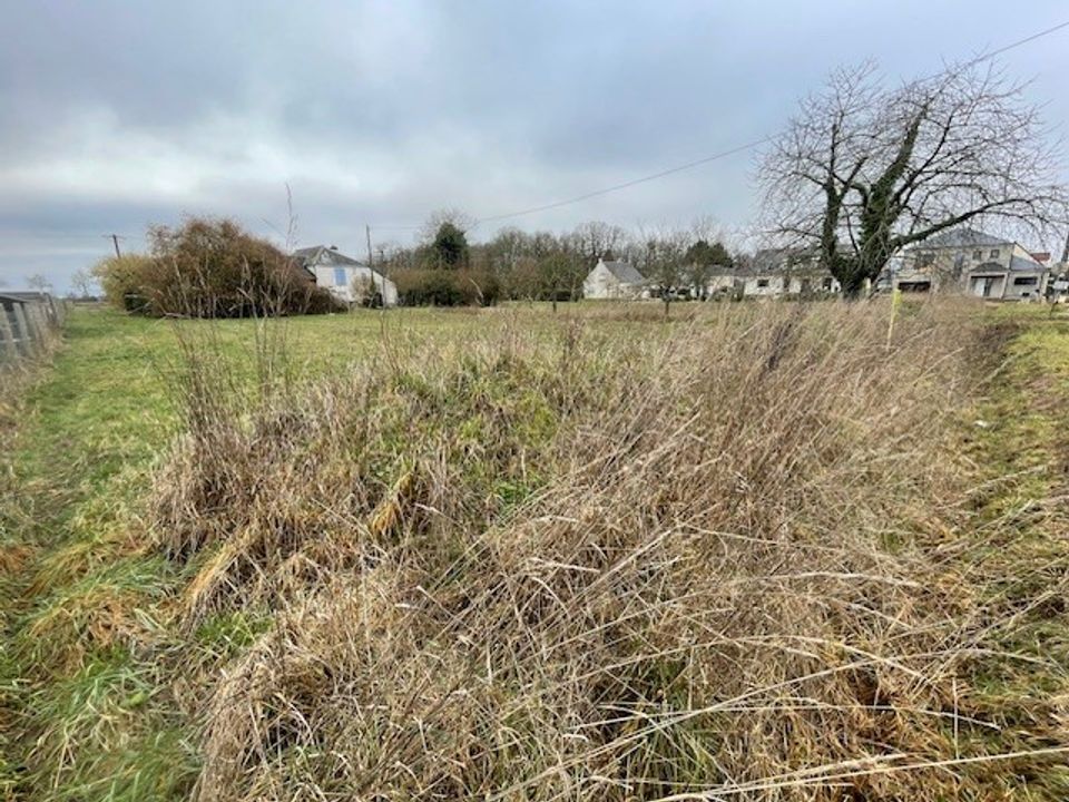 Helårsgrund i Saint-Denis-en-Val, Loiret - foto 3