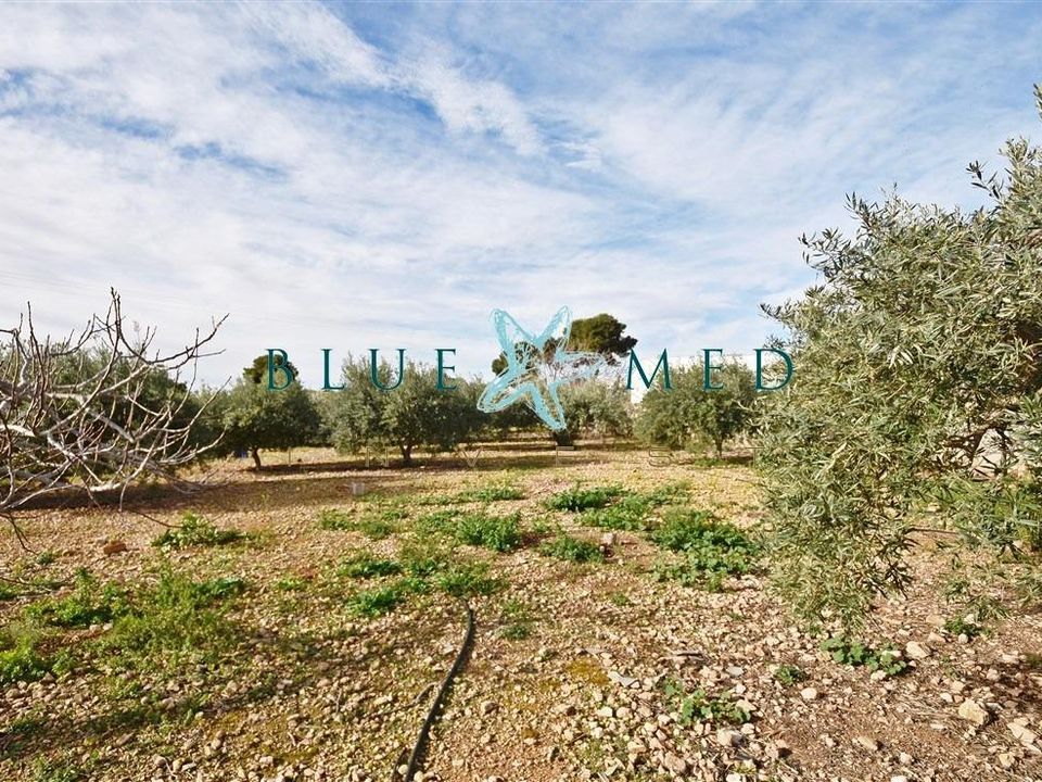 Landejendom i Puerto De Mazarron, Murcia - foto 5