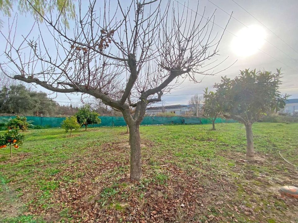 Villa i Ontinyent, Valencia - foto 3