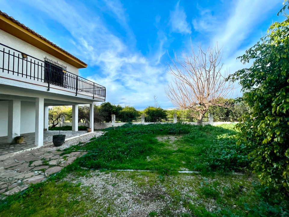 Villa i Benejuzar, Alicante - foto 3