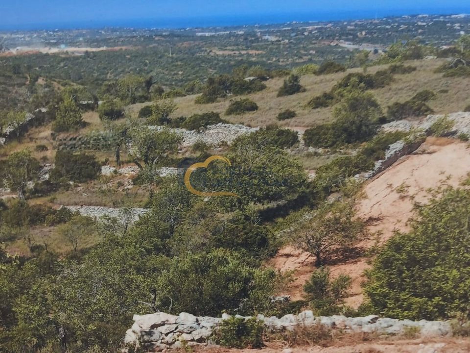 Helårsgrund i Paderne, Faro - foto 2
