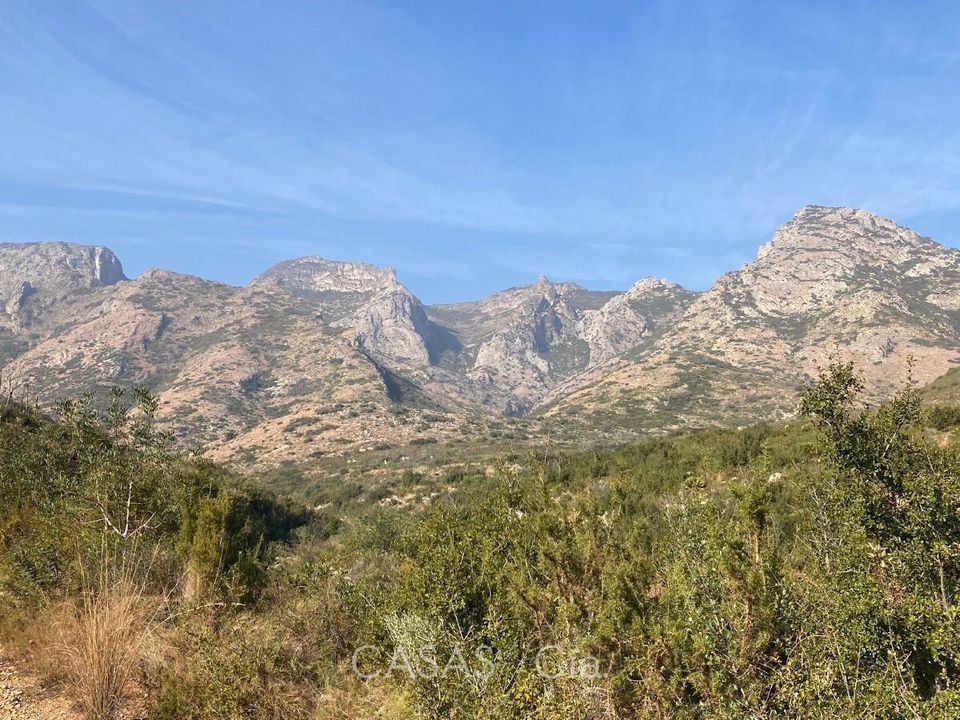 Helårsgrund i Gandia, Valencia - foto 3