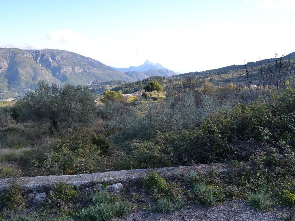 Terra a Benifato, Alicante - foto 2