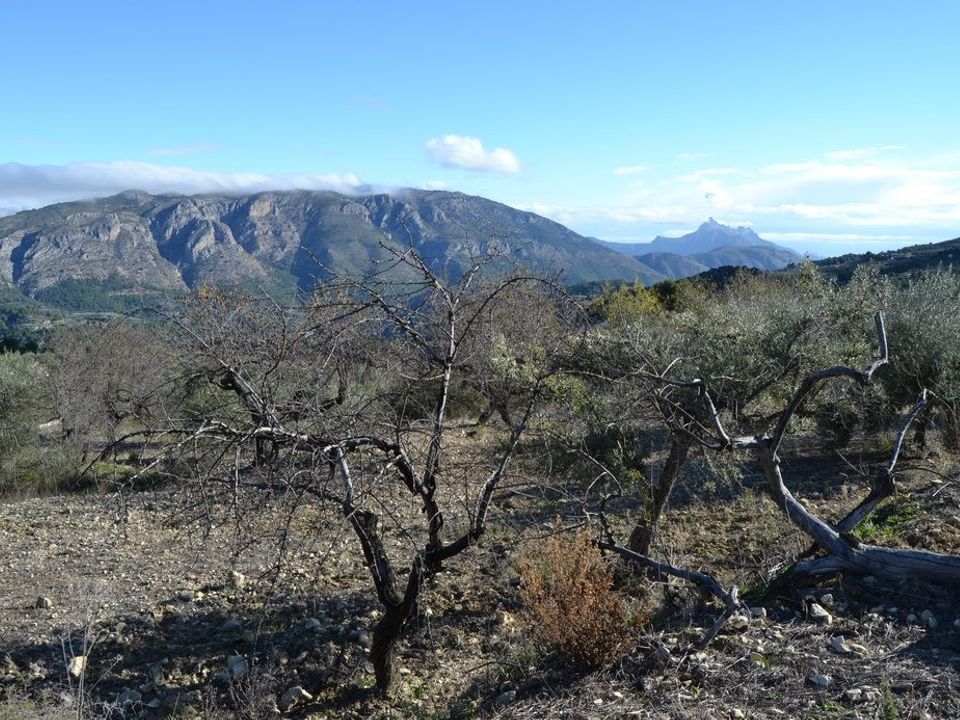 Terra a Benifato, Alicante - foto 4