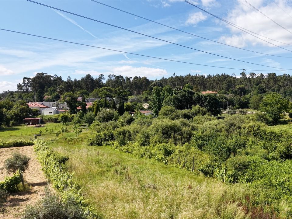 Helårsgrund i Viseu, Viseu - foto 5