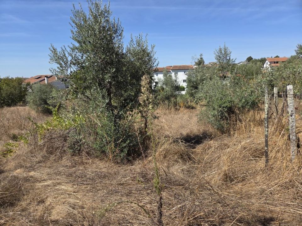 Działka: Nelas, Viseu – zdjęcie 5