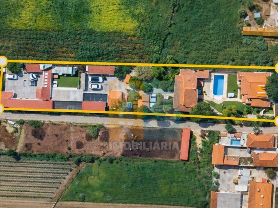 Farm i Alpiarca, Santarem - foto 2