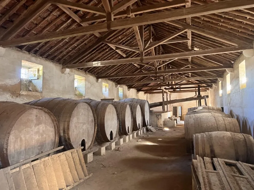 Farm i Mafra, Lisbon - foto 4