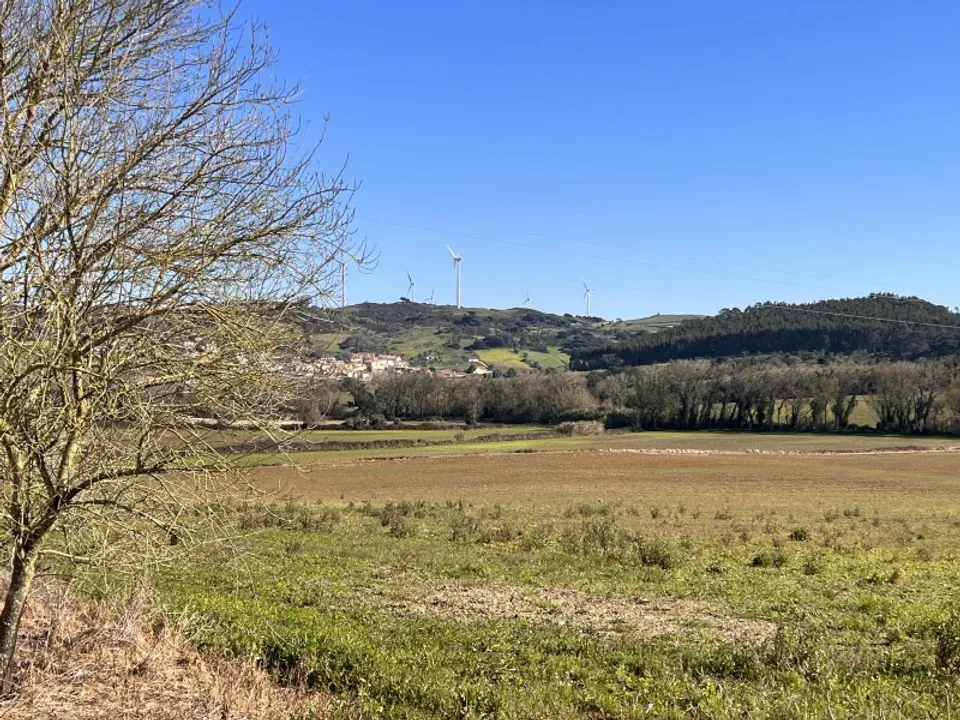 Farm i Mafra, Lisbon - foto 5