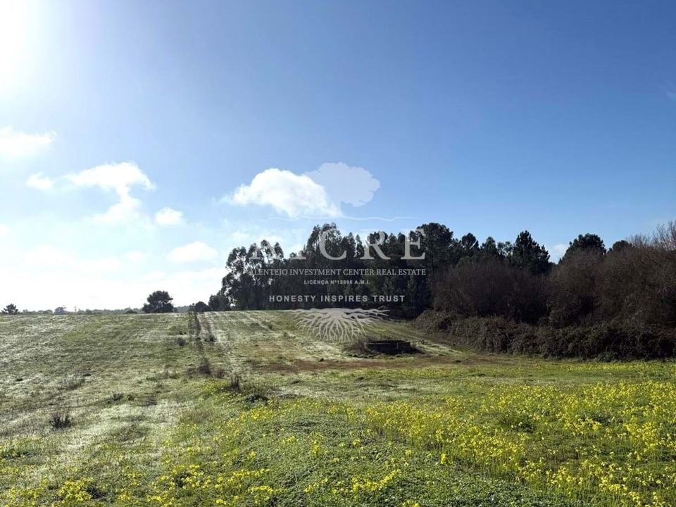 Helårsgrund i Montijo, Setubal - foto 4