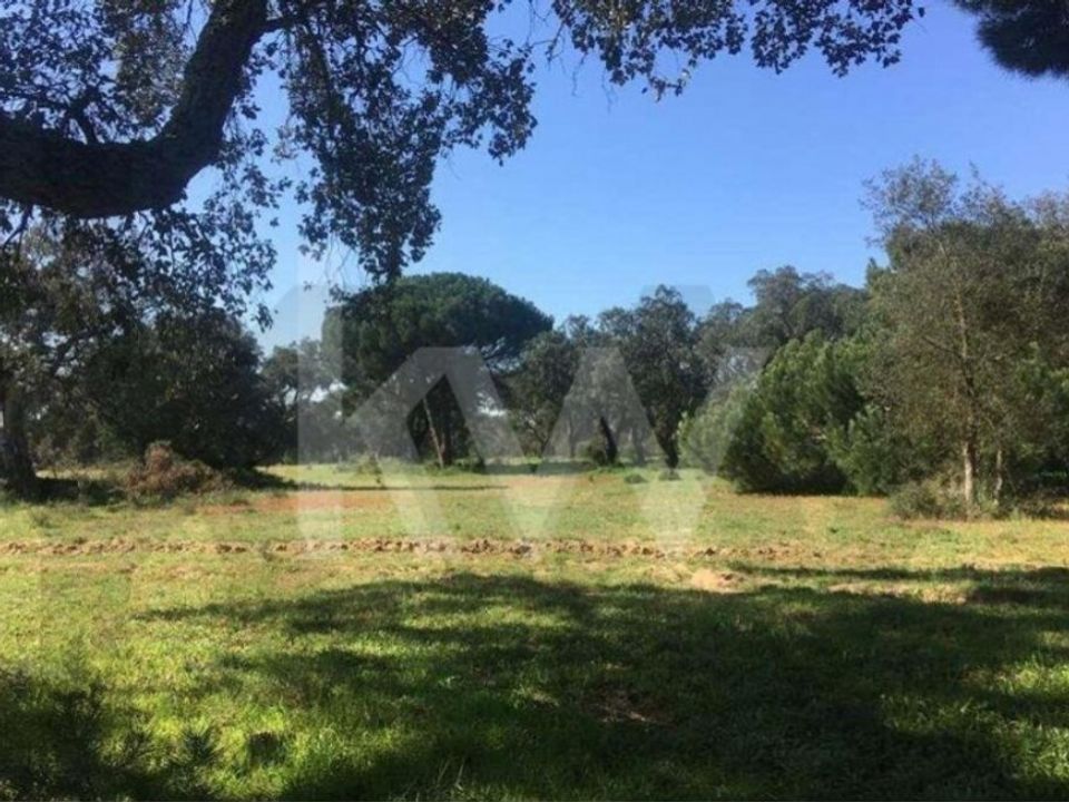 Helårsgrund i Palmela, Setubal - foto 1