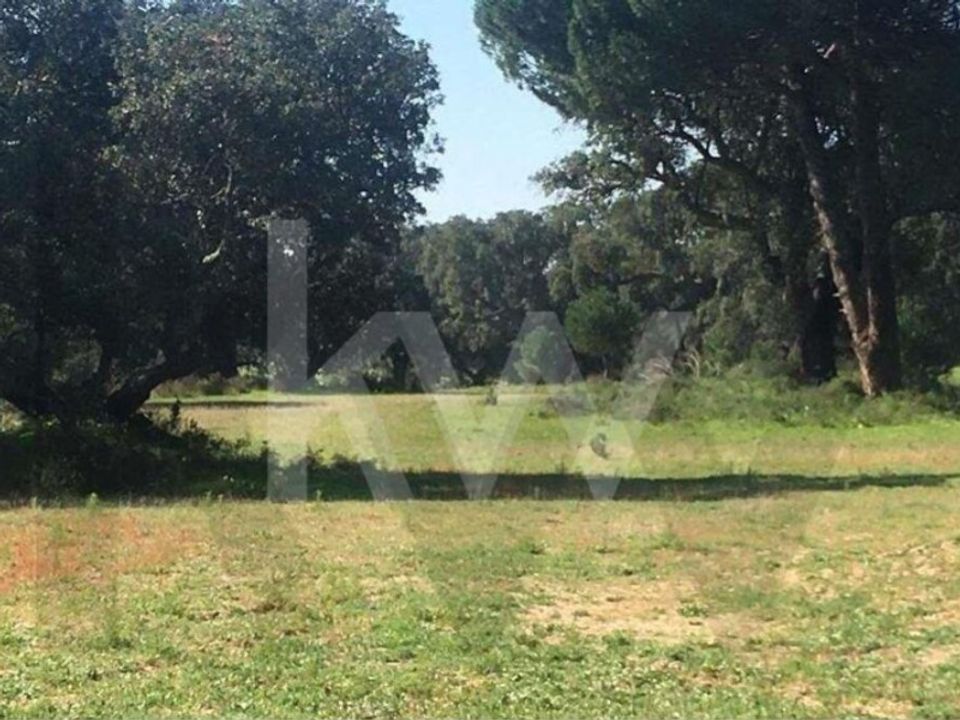 Helårsgrund i Palmela, Setubal - foto 3