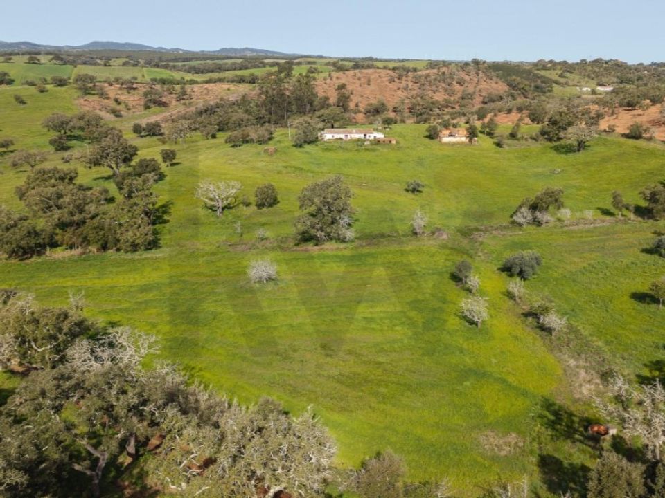 Gård i Cercal do Alentejo, Setubal - bilde 4