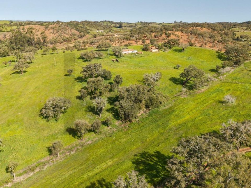 Gård i Cercal do Alentejo, Setubal - bilde 5