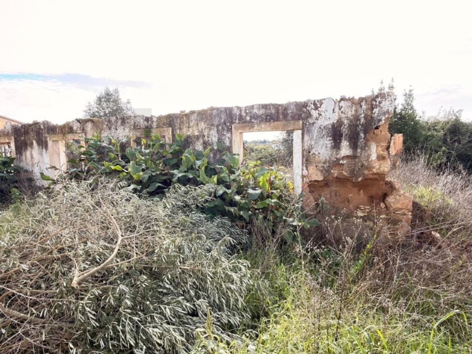 Helårsgrund i Rio Maior, Santarem - foto 1