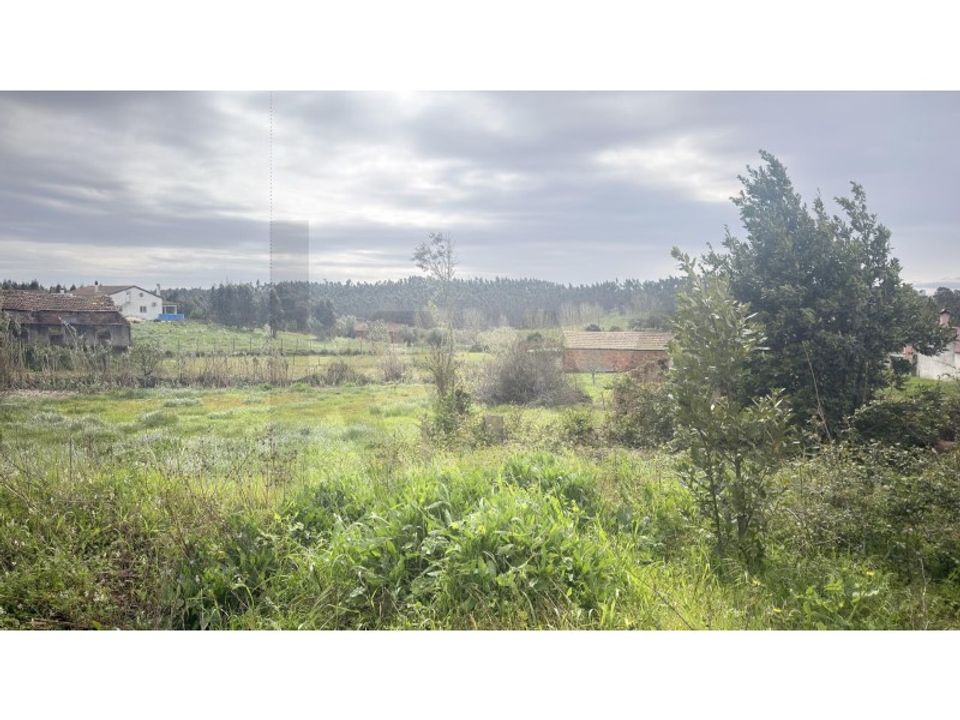 Helårsgrund i Rio Maior, Santarem - foto 5