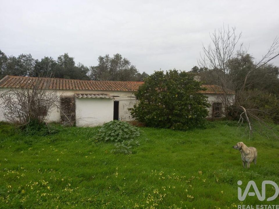 Farm i Santiago do Cacem, Setubal - foto 3