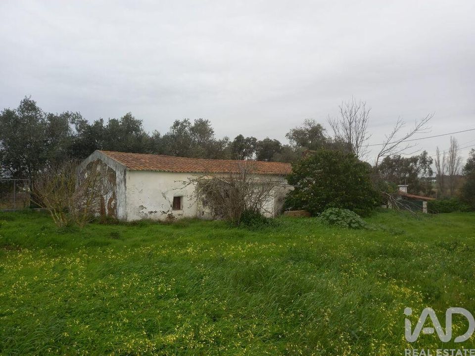 Farm i Santiago do Cacem, Setubal - foto 4