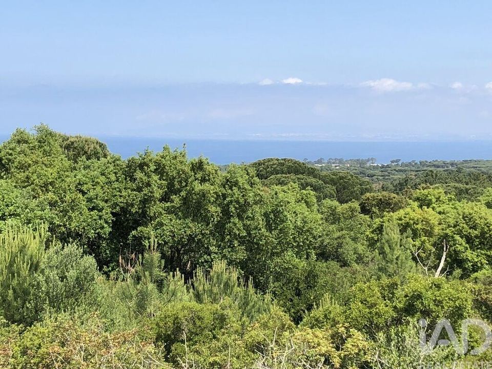 Helårsgrund i Sesimbra, Setubal - foto 1