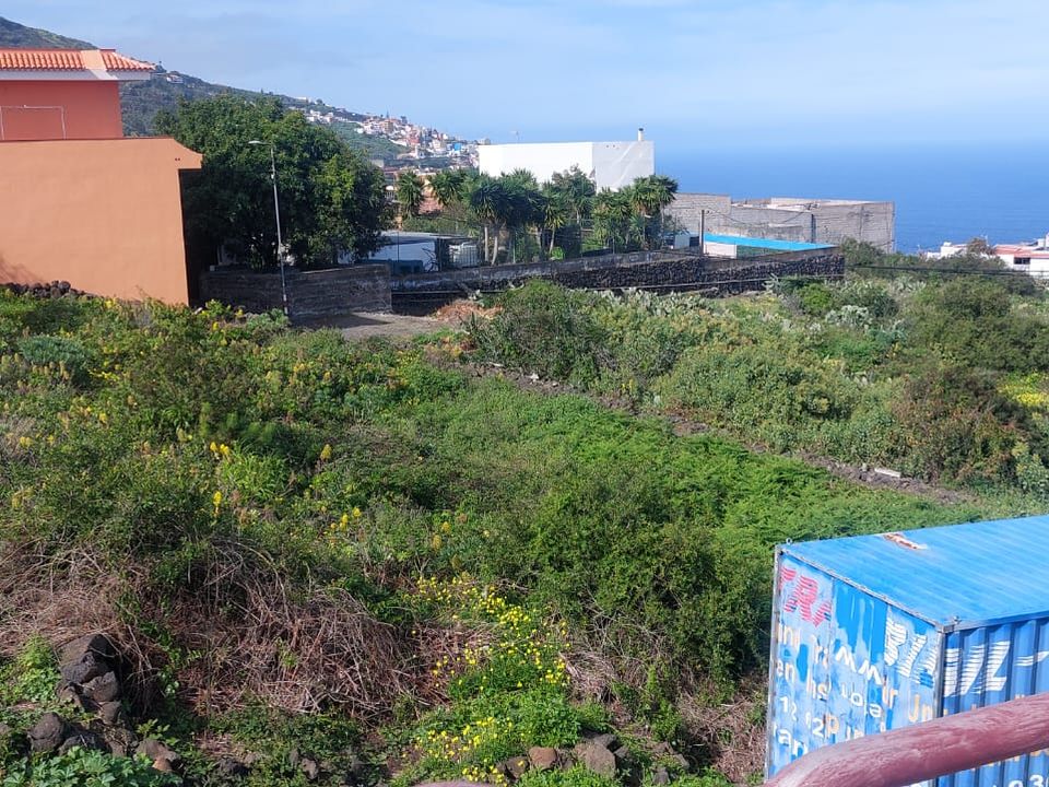 Helårsgrund i Icod, Tenerife - foto 4