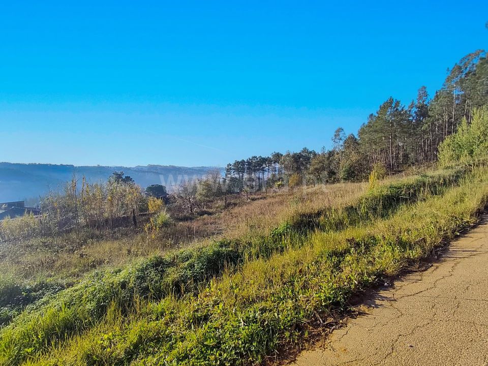 Helårsgrund i Leiria, Leiria - foto 3