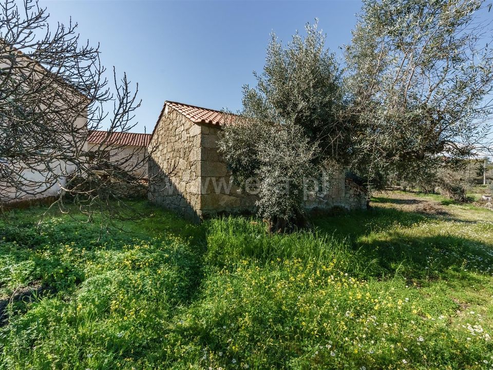 Helårsgrund i Fundao, Castelo Branco - foto 1