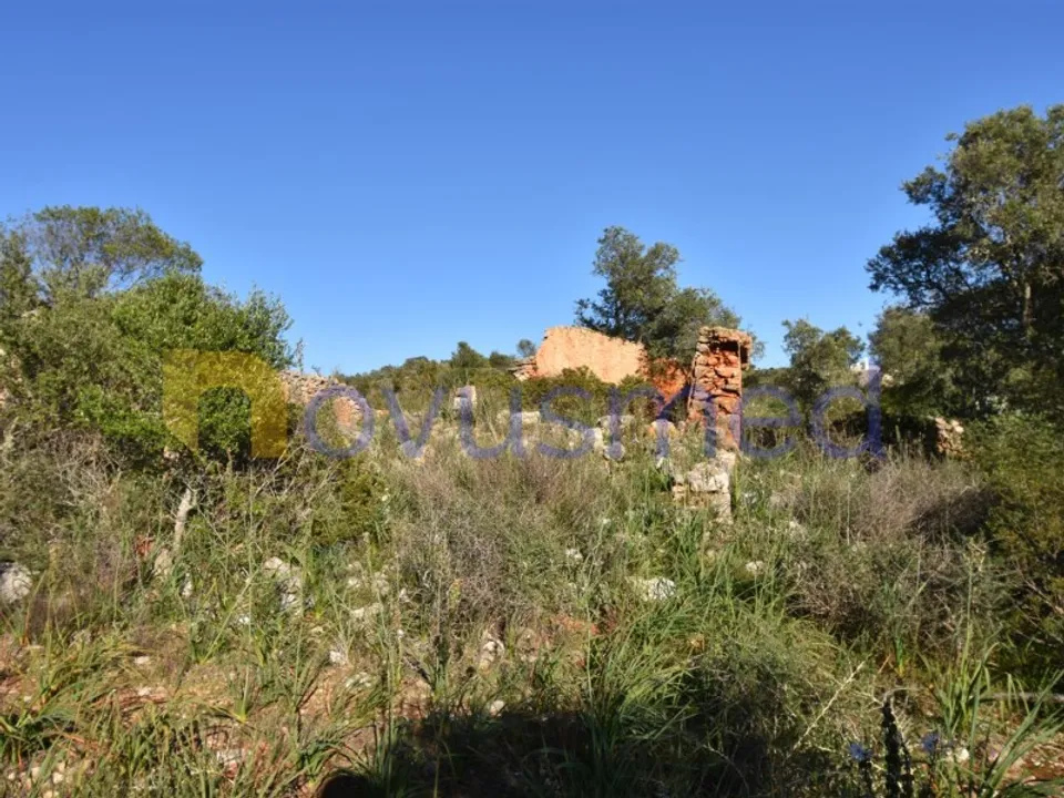 Farm i Tunes, Faro - foto 2