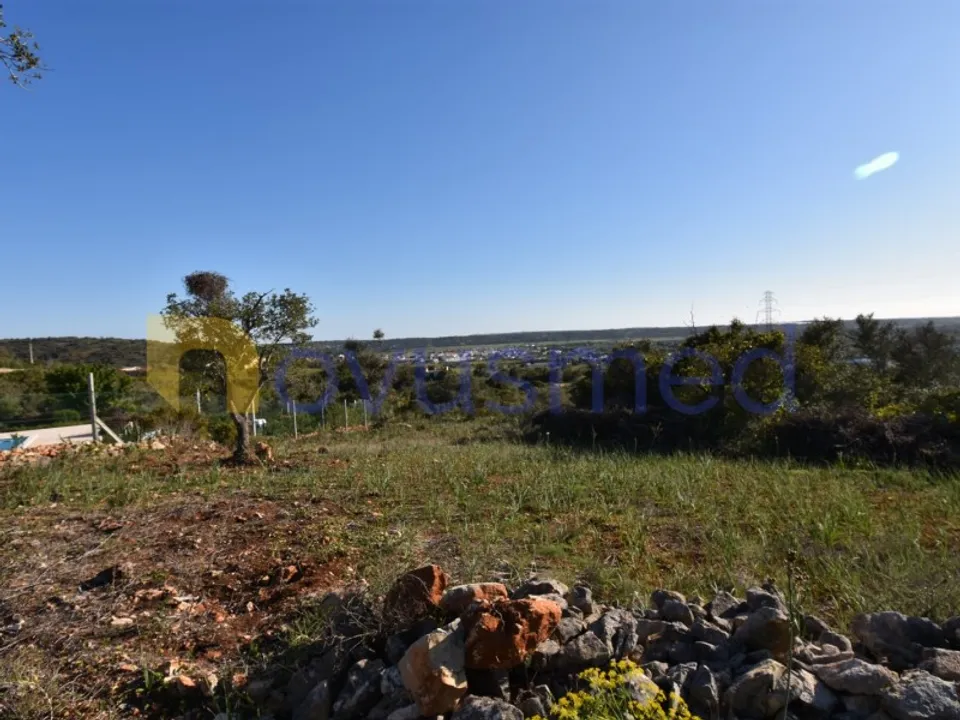 Farm i Tunes, Faro - foto 5