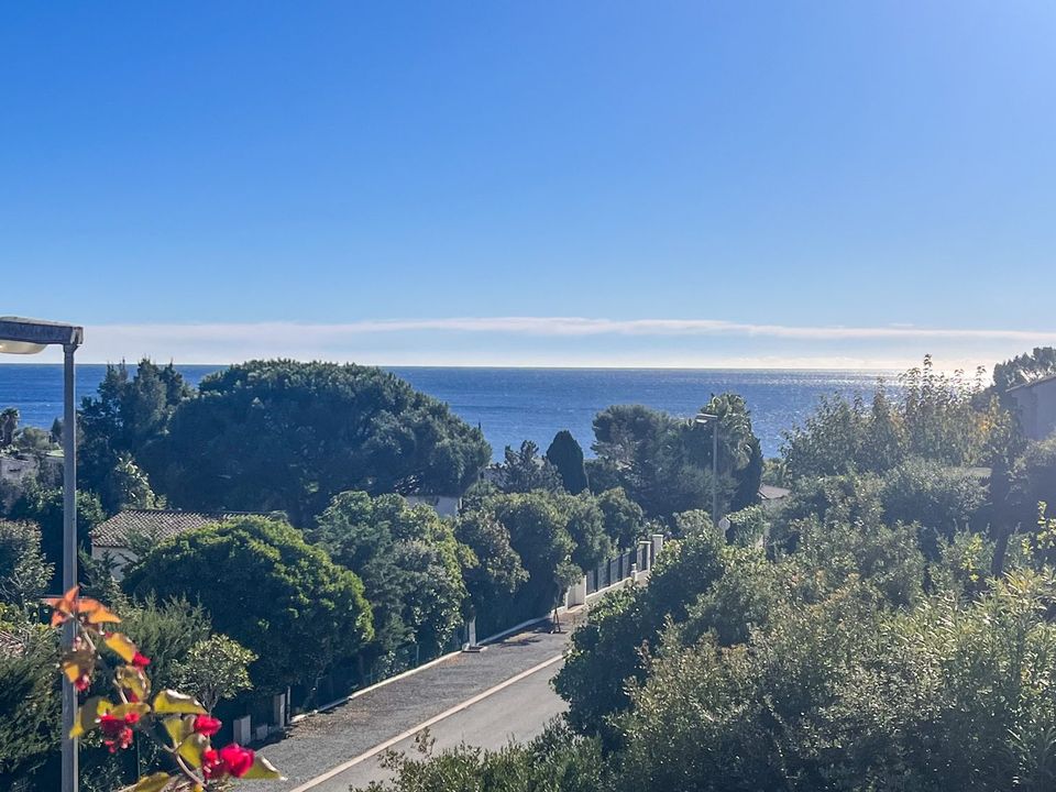 Villa i Les Issambres, Var - foto 2