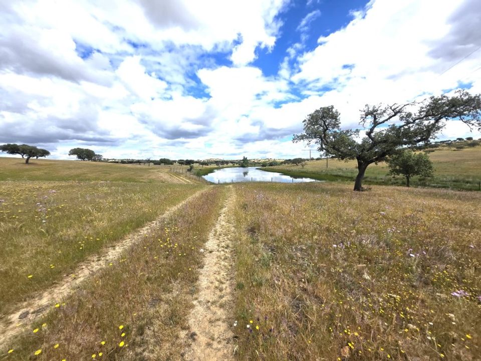 Landejendom i Santiago Maior, Evora - foto 4