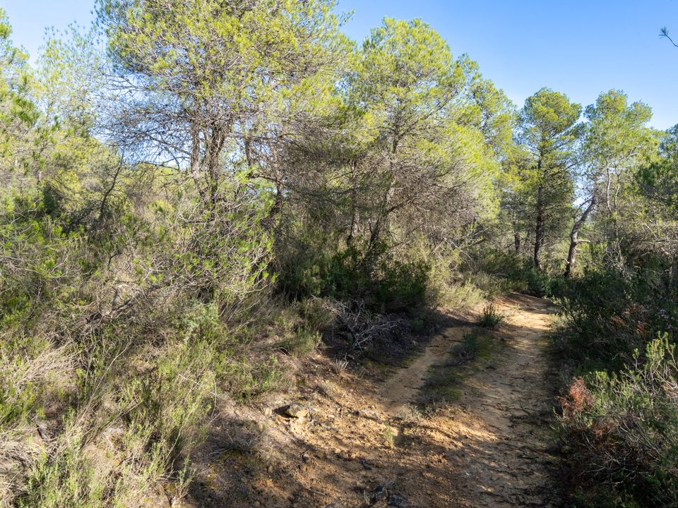 Finca i Corachar, Castellon - foto 5