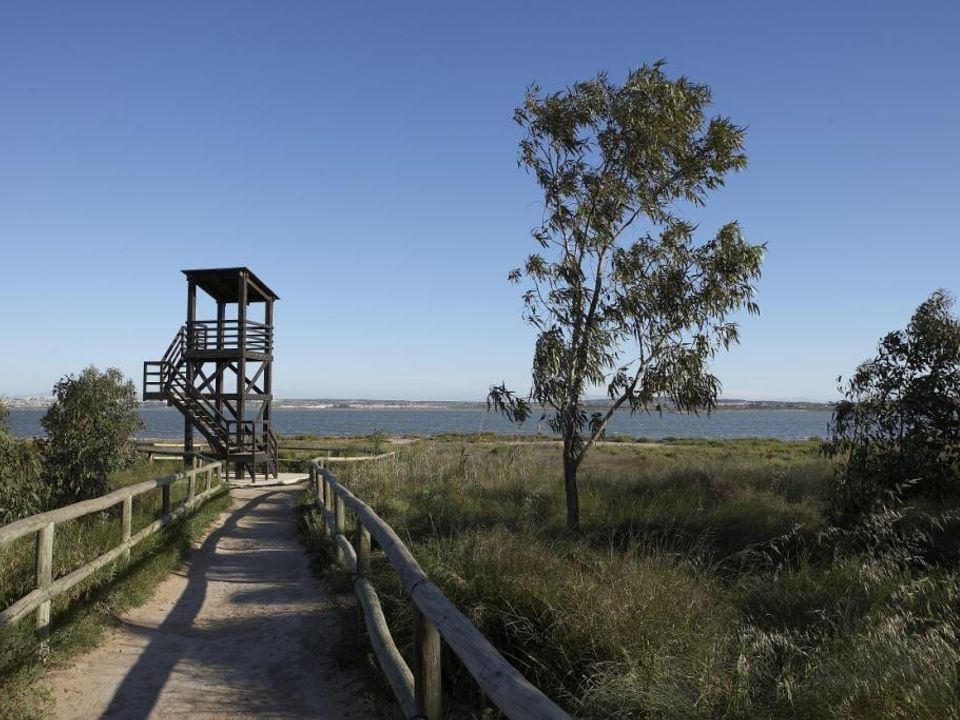 Lejlighed i Torrevieja, Alicante - foto 3