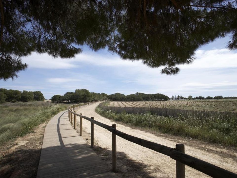 Lejlighed i Torrevieja, Alicante - foto 5