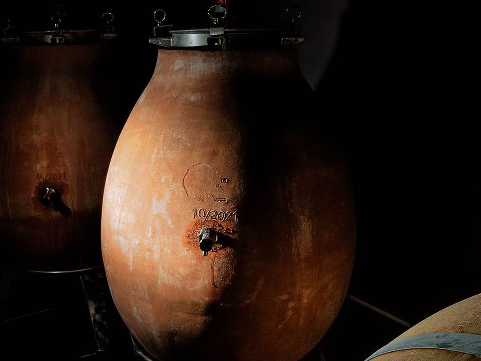 Gård i Massa Marittima, Grosseto - bilde 5