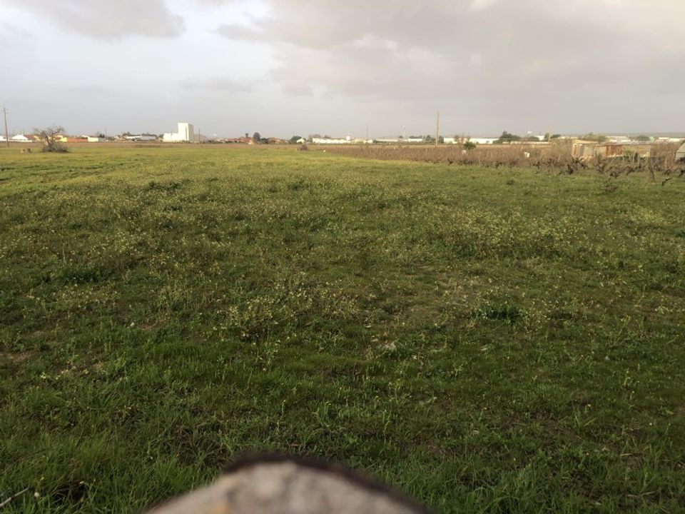 Tomt i Alpiarca, Santarem - bilde 2
